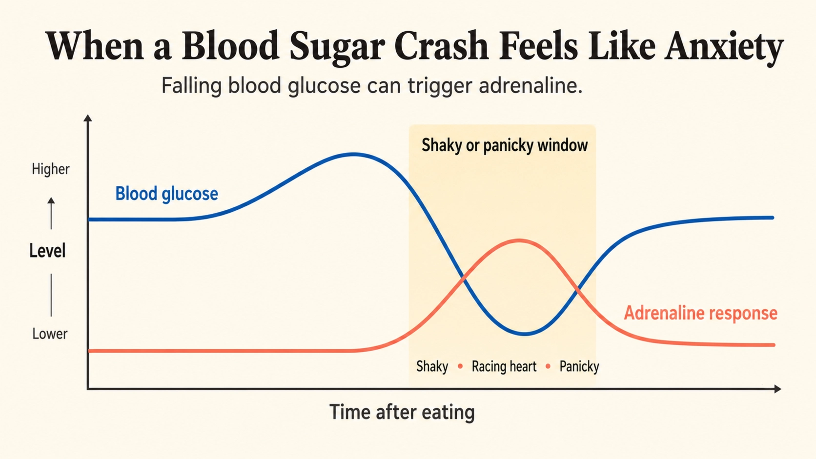 A simple graphic showing how a blood sugar crash triggers an adrenaline response that feels like anxiety