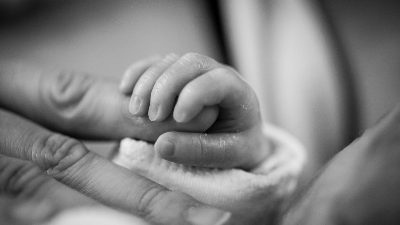 Adult holding the hand of a small child experiencing anticipatory grief — quiet, tender, present