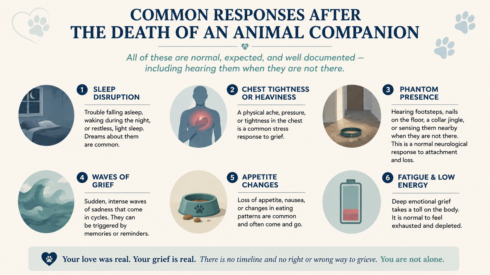 Common physical and emotional symptoms following an animal companion's death, including sleep disruption, phantom presence, and chest tightness